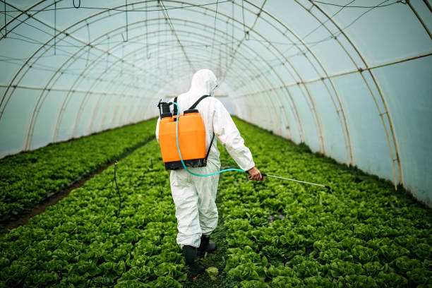 Best Pest Control Near Me  in Georgiana, AL