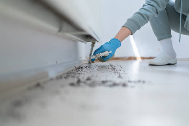 Best Affordable Pest Control Services  in Georgiana, AL